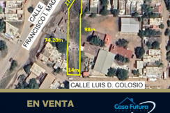 LOTE COL. RENATO VEGA
